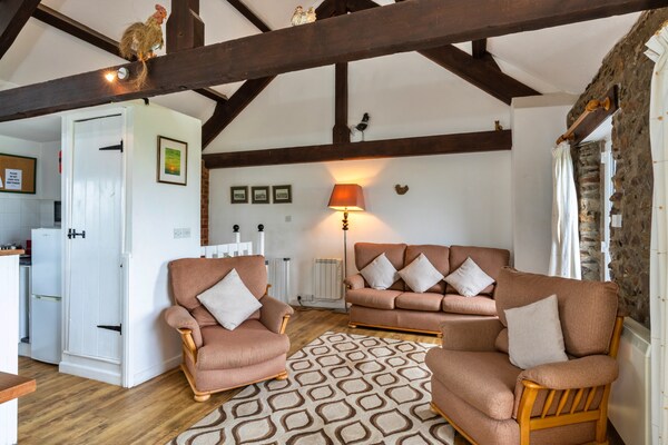 Squire, Quinceborough Farm - thumbnail 2