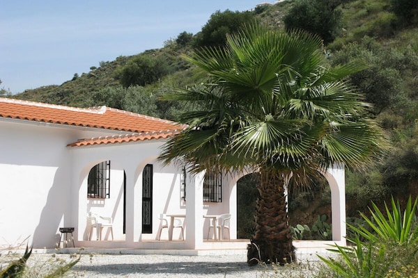 28259 - Torrox