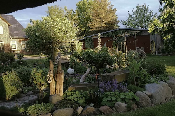 204802 - thumbnail 4