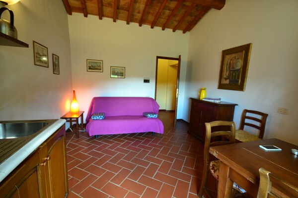 Knus appartement in Toscaans bos met zwembad, nabij Florence - thumbnail 2