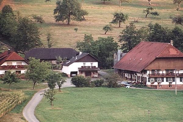 65346 - Seelbach
