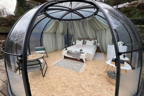 Glass Dome - thumbnail 4