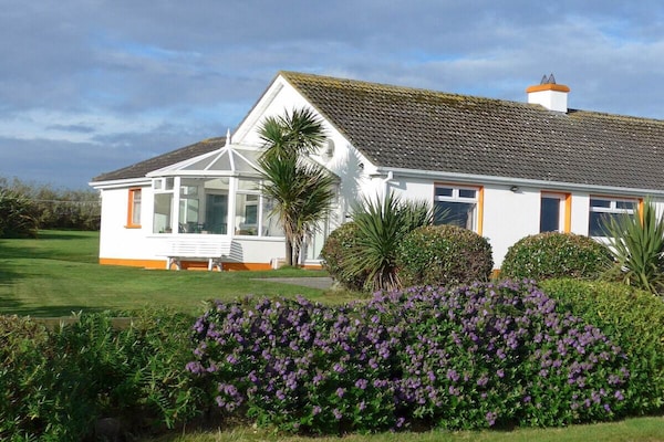54988 - Irlande