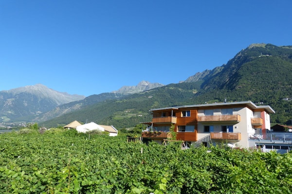 101730 - Meran