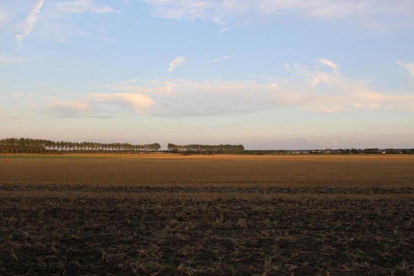 Biezenpolder Biezenpolder
