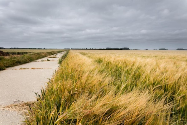 Biezenpolder Biezenpolder