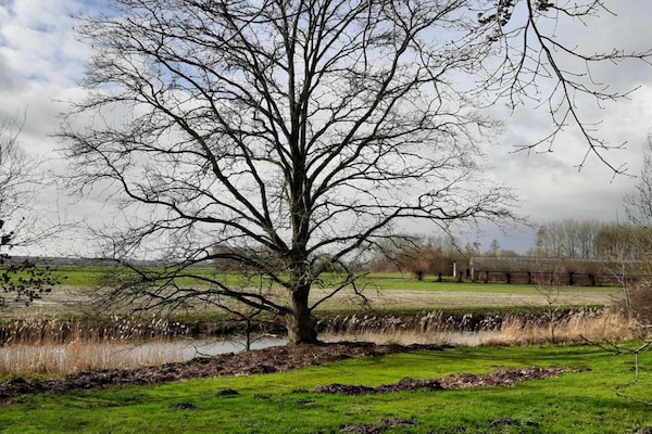 Biezenpolder Biezenpolder