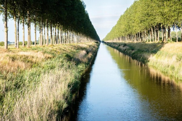 Biezenpolder Biezenpolder