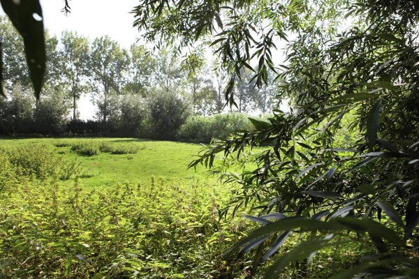 Biezenpolder Biezenpolder
