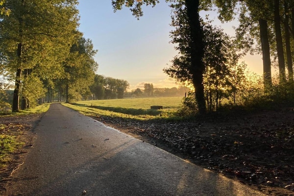 Biezenpolder Biezenpolder