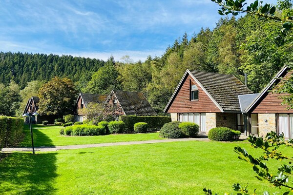 Landelijk vakantiehuis voor 6 personen in bosrijk vakantiepark bij Malmedy - thumbnail 3