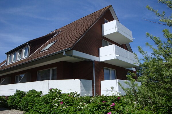 258013 - thumbnail 2