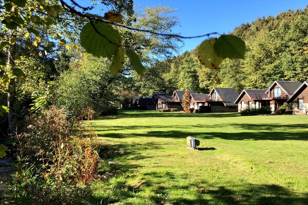 Vrijstaand chalet voor 6 in de bossen van Malmedy met privétuin - thumbnail 2