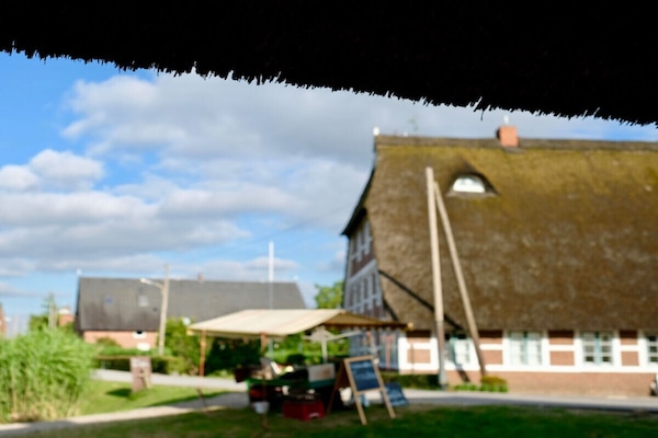 120142 - thumbnail 2