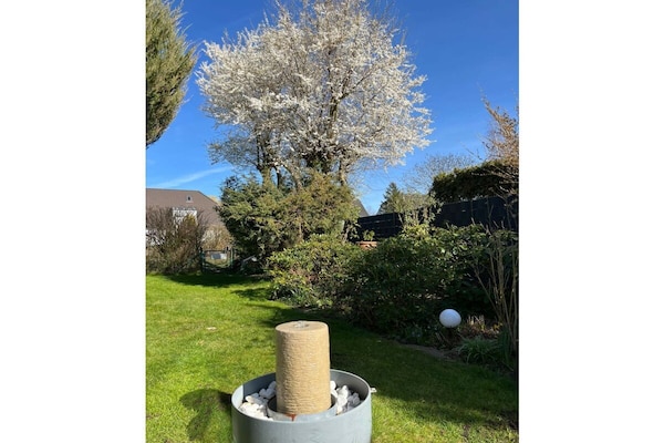 773240 - thumbnail 6