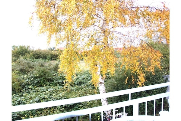 220361 - thumbnail 2
