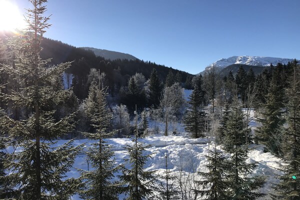 185495 - thumbnail 6