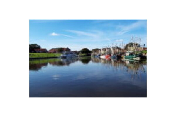 775249 - thumbnail 5