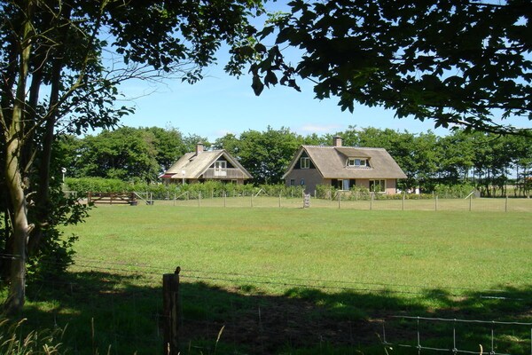 118084 - thumbnail 5