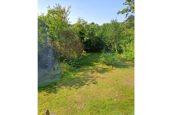 482705 - thumbnail 2
