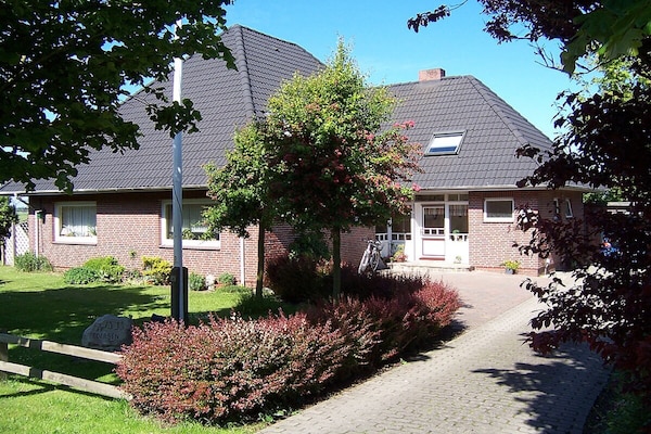 24786 - Föhr