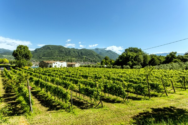 Cascina - Bilo grande Cascina - Bilo grande
