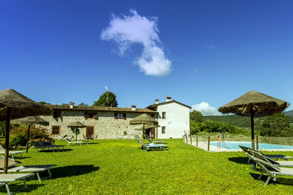 Cascina - Bilo grande