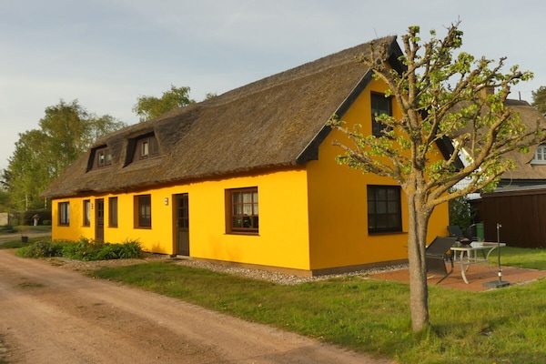 109066 - thumbnail 4