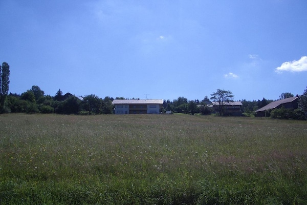 56890 - thumbnail 4