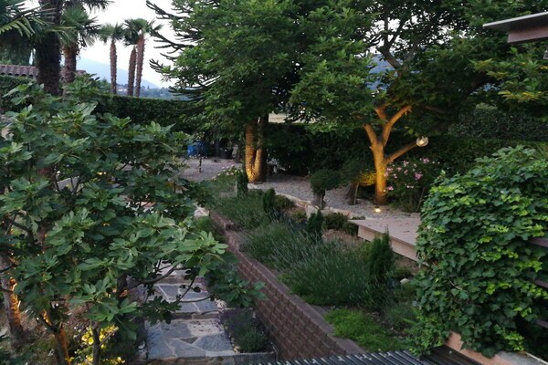 266626 - thumbnail 6