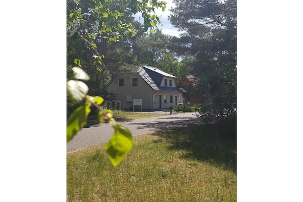 60719 - thumbnail 3