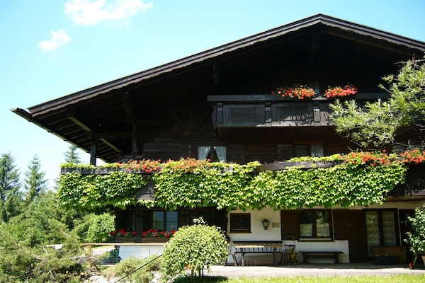 49610 - thumbnail 1