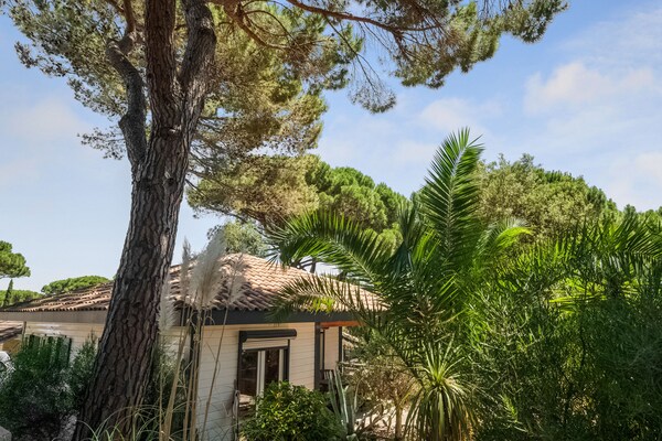 Houten villa Lavande op groen park nabij Saint-Tropez - thumbnail 2
