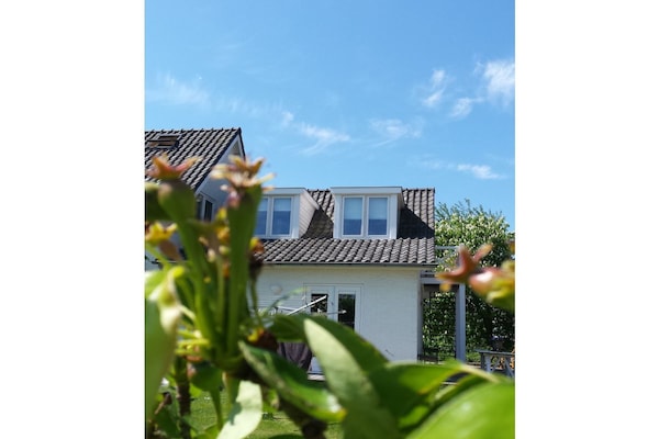190747 - thumbnail 6