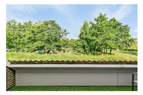 637018 - thumbnail 4
