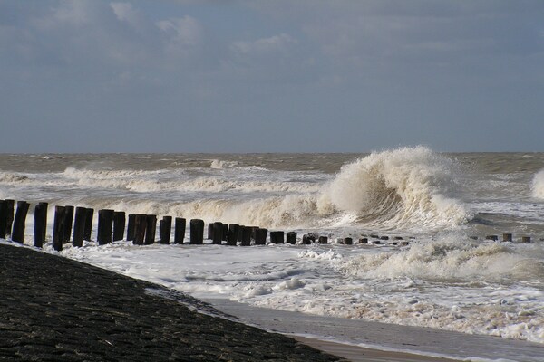 De Zeeschelp De Zeeschelp