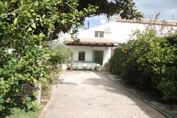 Privézwembad en landelijke sfeer in landhuis Casa La Palmera, Málaga - thumbnail 5
