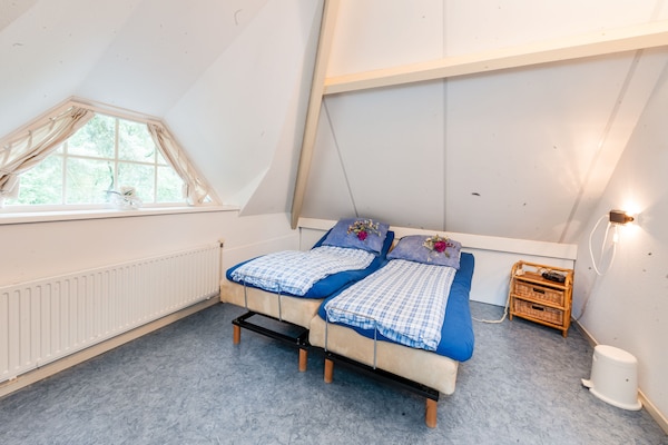 Dapama: Vrijstaand rietgedekt huis in het bos van Beerze voor 6 personen - thumbnail 3