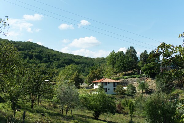 Landelijk vakantiehuis met zwembad en panoramisch uitzicht op de Mugello-heuvels - thumbnail 2