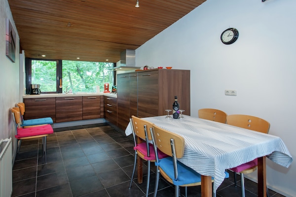 Skries: Vrijstaand vakantiehuis in duingebied Ameland, 1 km van zee - thumbnail 3