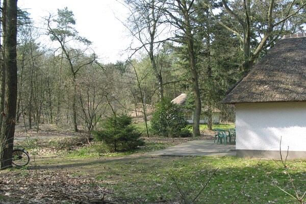 Sfeervolle rietgedekte bungalow op rustig vakantiepark in bosrijk Herpen - thumbnail 1