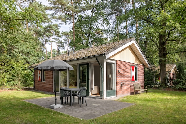 Knus chalet op Bospark Lunsbergen: wandelen, hunebedden en rust in Drenthe - thumbnail 6