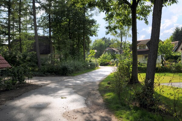 Vrijstaand vakantiehuis Wildeman in bosrijk Heeten voor 4 personen - thumbnail 6