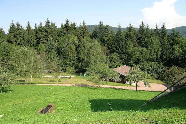 Vrijstaand chalet in Ventron met houtkachel, tuin en hondvriendelijk - thumbnail 6