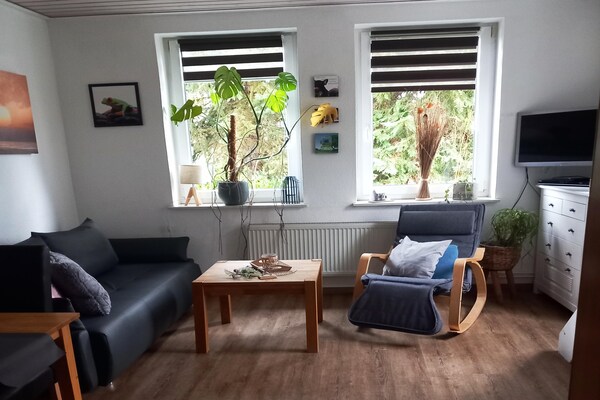 Modern appartement met grote tuin en bergzicht nabij Diemelsee - thumbnail 2