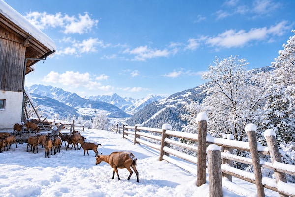 Modern appartement Hollaus 1 in zonnig Aschau im Zillertal - thumbnail 6