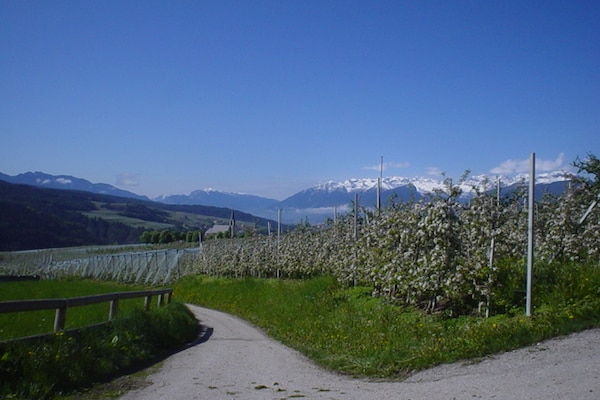 Renetta Mansarda-Gebiete Sommer 1 km