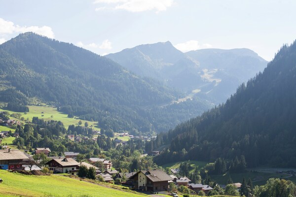 Chalet Le Nid Zut: Vrijstaand chalet in het bos op 200m van de skilift in Châtel - thumbnail 5