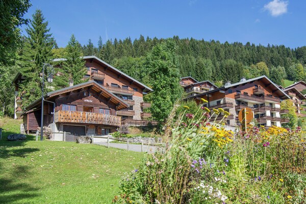 Chalet Le Nid Zut: Vrijstaand chalet in het bos op 200m van de skilift in Châtel - thumbnail 4