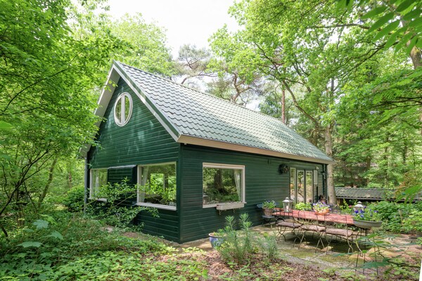 Boshuis: sfeervol vakantiehuis met gashaard en omheinde tuin in Dalfsen - thumbnail 6
